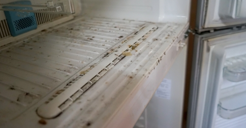 How To Get Rid Musty Of Smell From a Refrigerator that Has Sat Unplugged